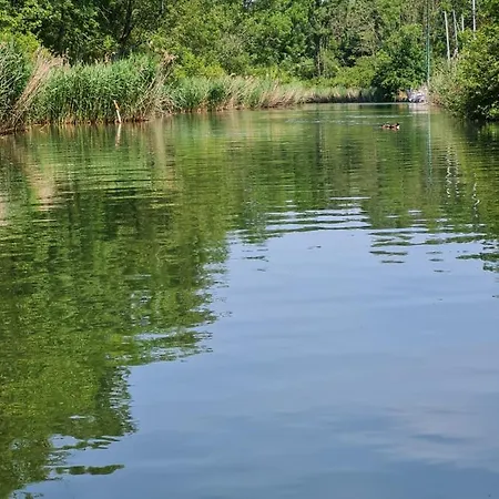 Rhône 4, Villa, Jardin, Vélos, Balançoires, Jeux, 200m étang Vieux Rhône * Noville