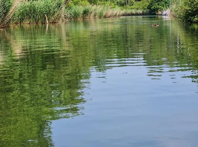 Rhone 4, Villa, Jardin, Velos, Balancoires, Jeux, 200m Etang Vieux Rhone * Noville